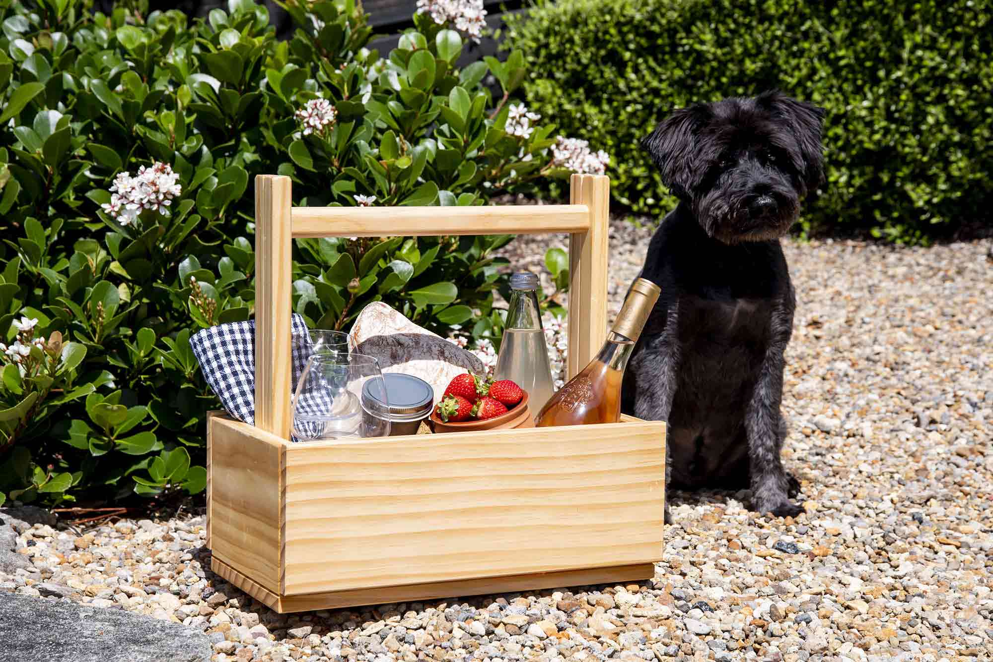 Dog sitting next to a wooden picnic basket with food and drinks outdoors. Victoria James Home Storage Box VJA Convertible